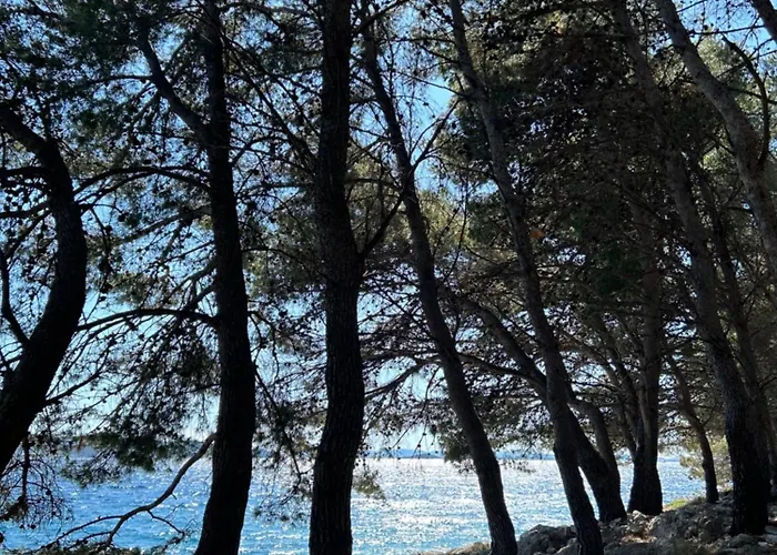 Mobile House Mona * Drage