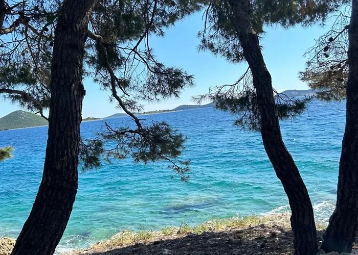 Hébergement de vacances Mobile House Mona Drage