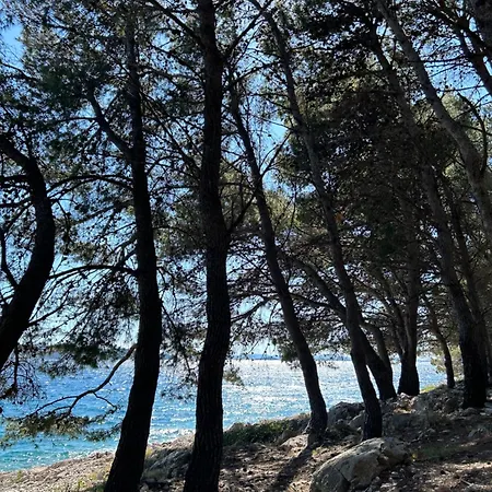 Mobile House Mona * 德拉格