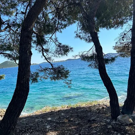 Hébergement de vacances Mobile House Mona Drage